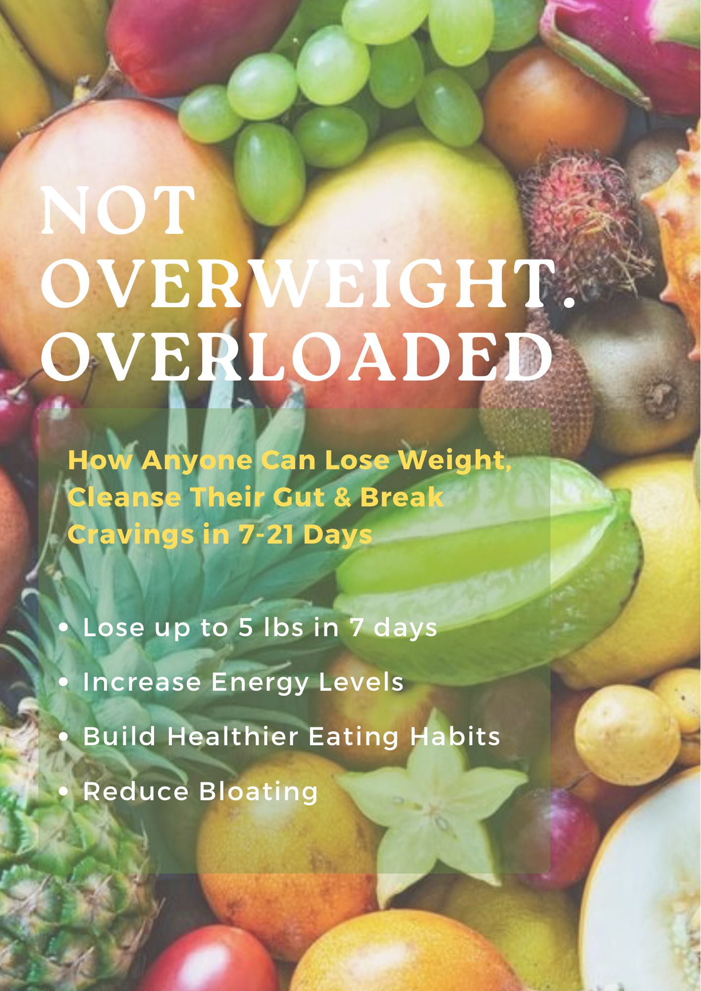 Not Overweight, Overloaded (Detox Guide)